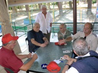 Clicca sulla foto per vedere ingrandimento